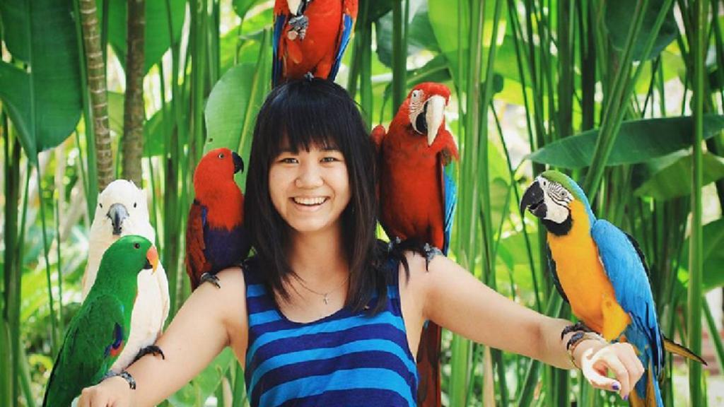 Bali Bird Park - Ticket